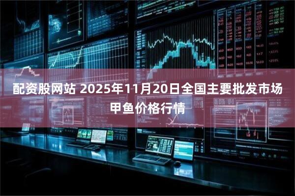 配资股网站 2025年11月20日全国主要批发市场甲鱼价格行情